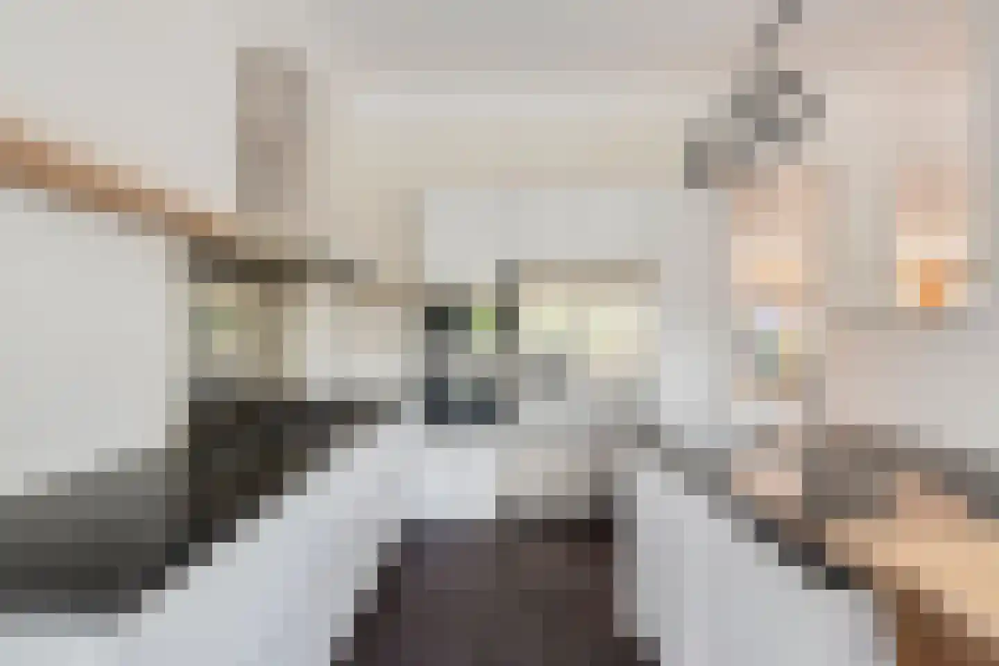 Florenbeemden 2 Helmond thumbnail 5