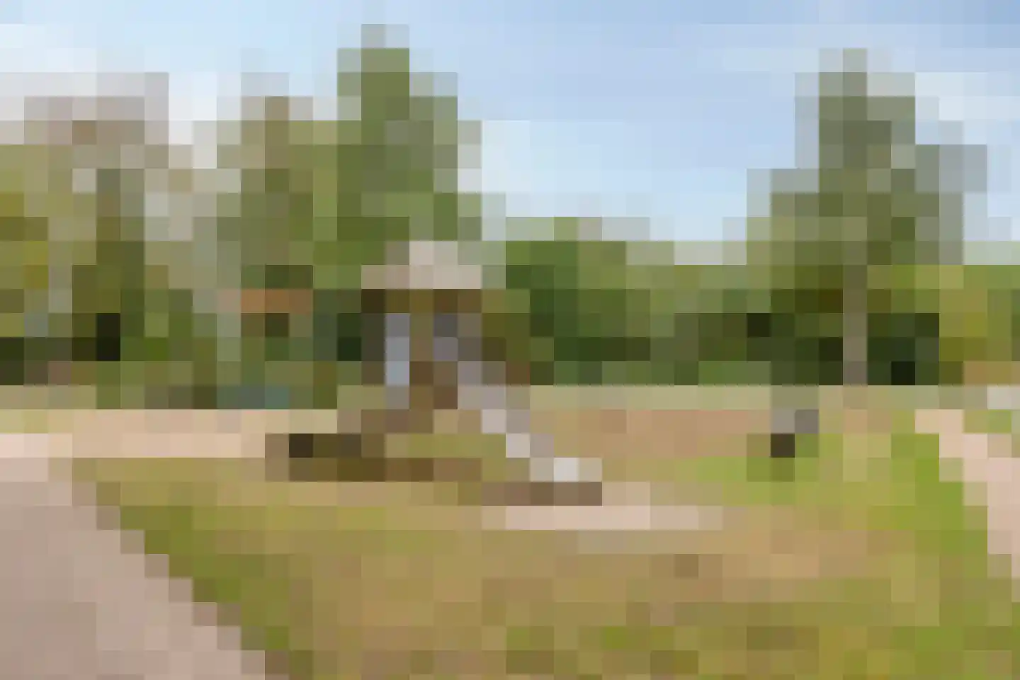 Florenbeemden 2 Helmond thumbnail 68