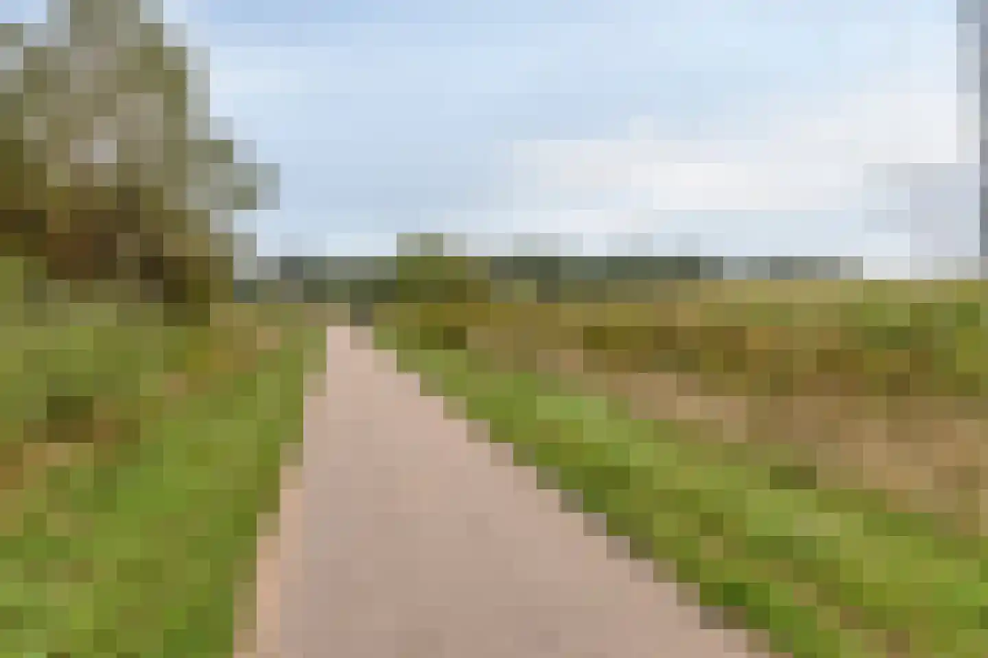 Florenbeemden 2 Helmond thumbnail 69