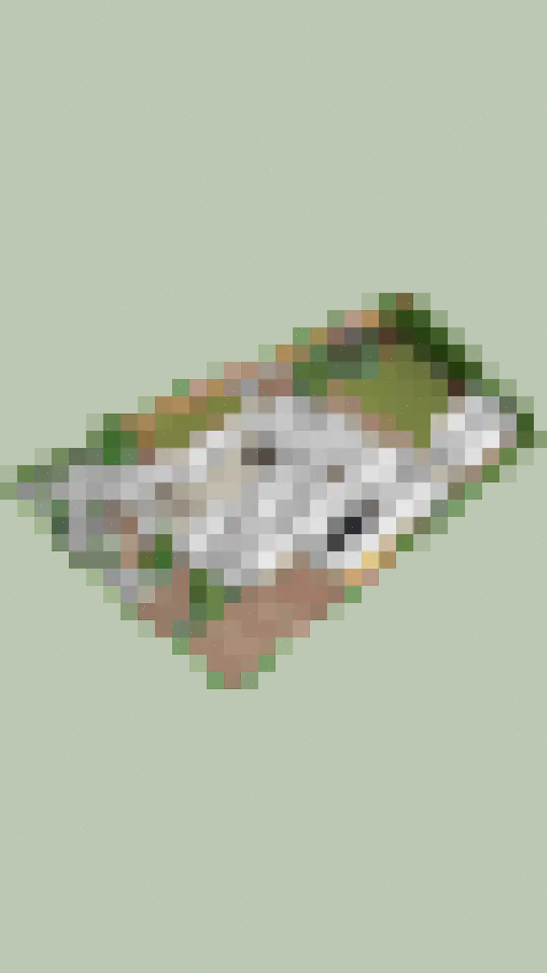 Florenbeemden 2 Helmond thumbnail 72