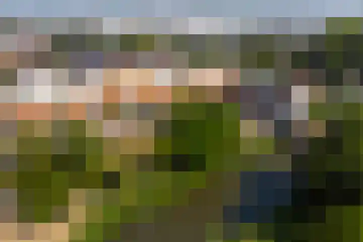 Florence Nightingalelaan 11 's-Gravenzande thumbnail 4