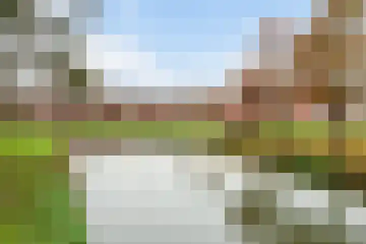Florence Nightingalelaan 11 's-Gravenzande thumbnail 5