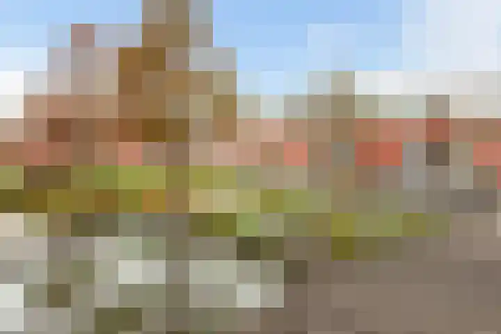 Florence Nightingalelaan 11 's-Gravenzande thumbnail 6