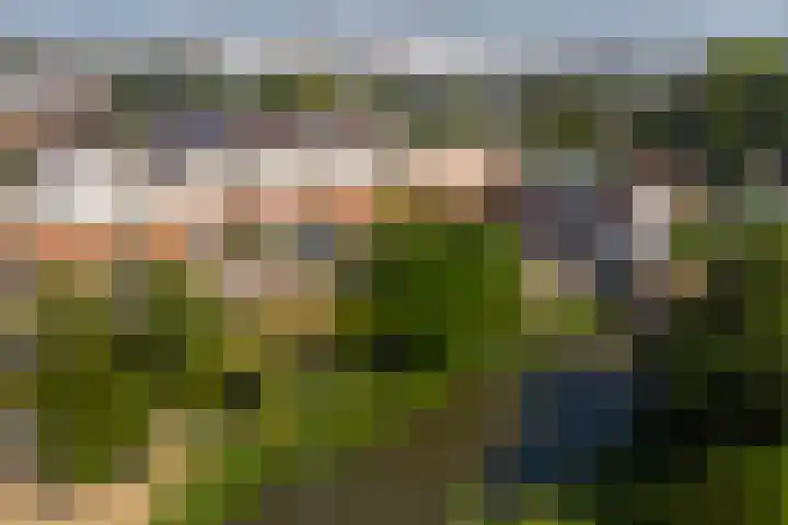 Florence Nightingalelaan 12 's-Gravenzande thumbnail 46