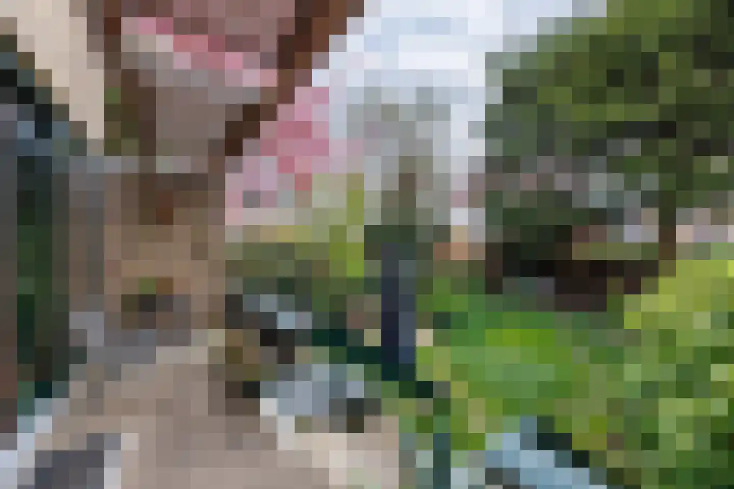 Florence Nightingalelaan 16 Delft thumbnail 18