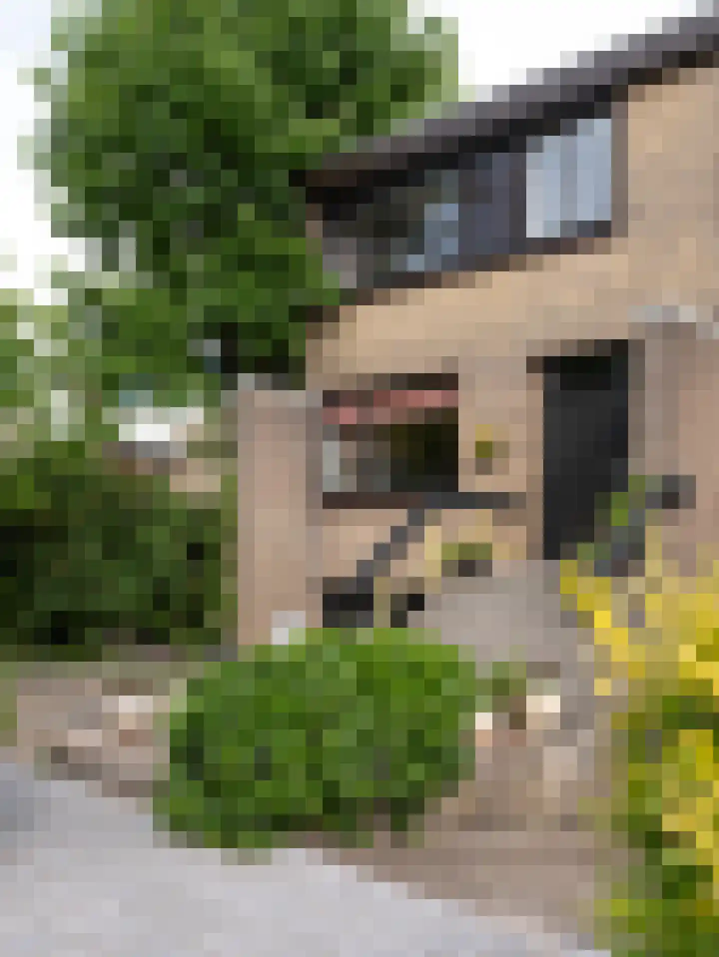 Florence Nightingalelaan 16 Delft thumbnail 6