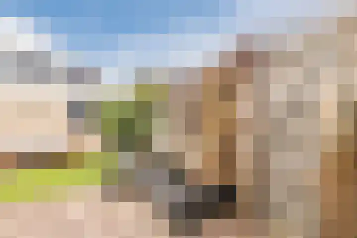 Florence Nightingalelaan 16 Utrecht thumbnail 15
