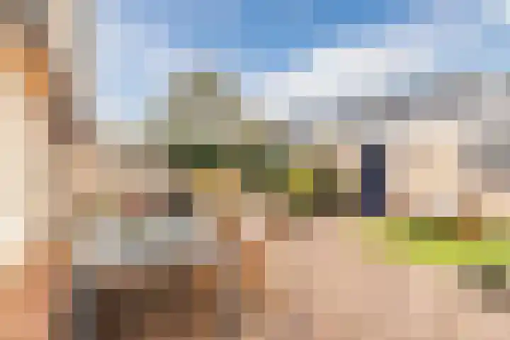 Florence Nightingalelaan 16 Utrecht thumbnail 16