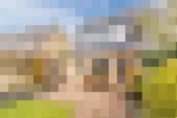 Florence Nightingalelaan 16 Utrecht thumbnail 18