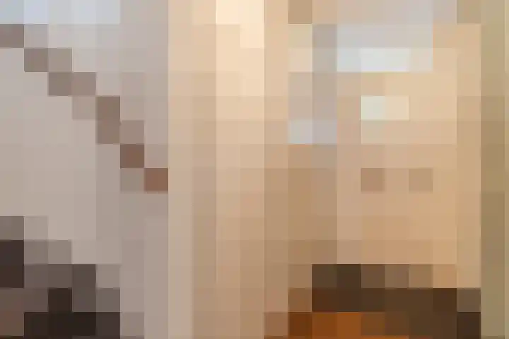 Florence Nightingalelaan 16 Utrecht thumbnail 31