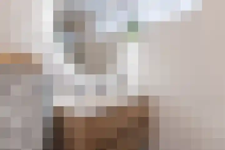 Florence Nightingalelaan 16 Utrecht thumbnail 36