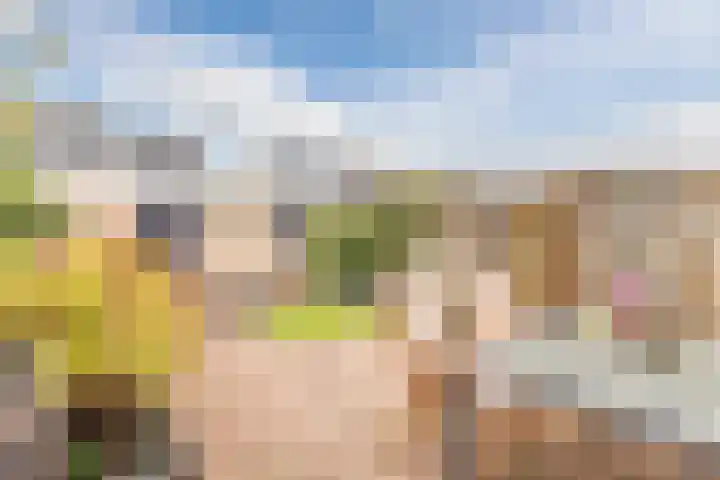 Florence Nightingalelaan 16 Utrecht thumbnail 4