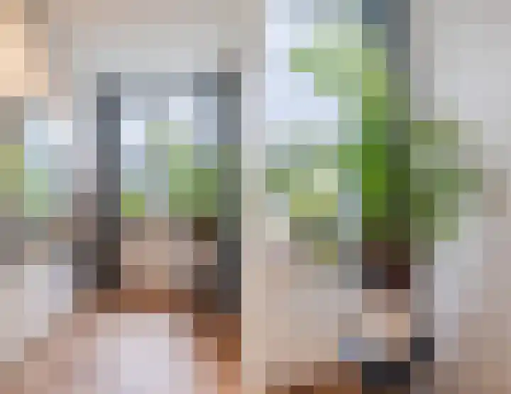 Florence Nightingalelaan 16 Utrecht thumbnail 41