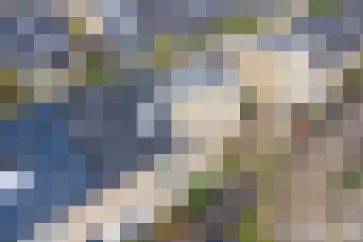 Florence Nightingalelaan 16 Utrecht thumbnail 54