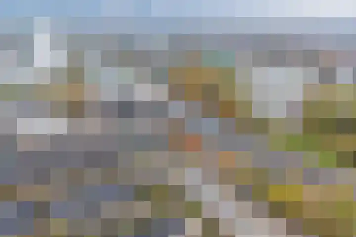 Florence Nightingalelaan 16 Utrecht thumbnail 57
