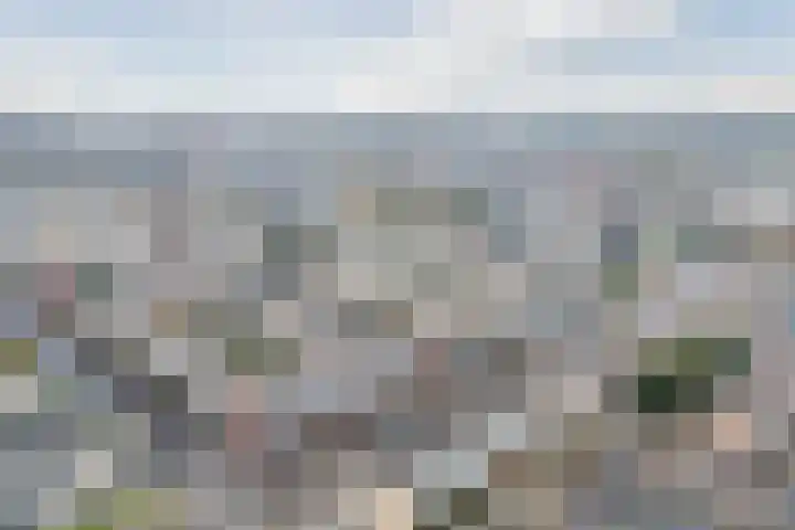 Florence Nightingalelaan 16 Utrecht thumbnail 58