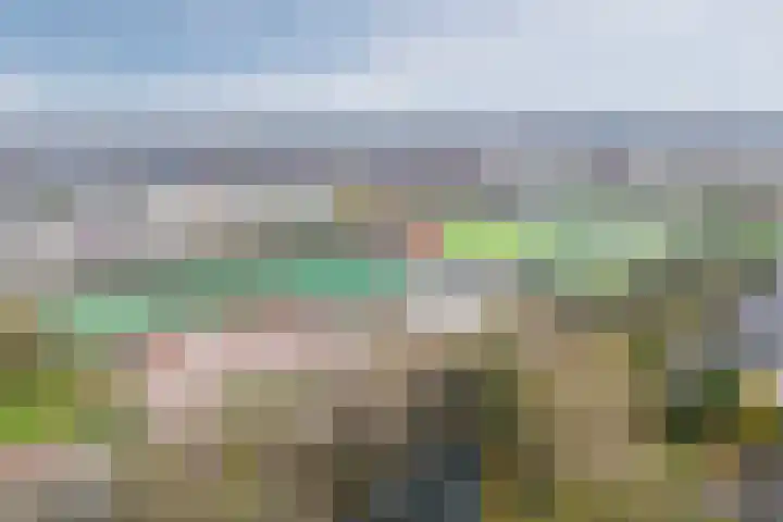 Florence Nightingalelaan 16 Utrecht thumbnail 59