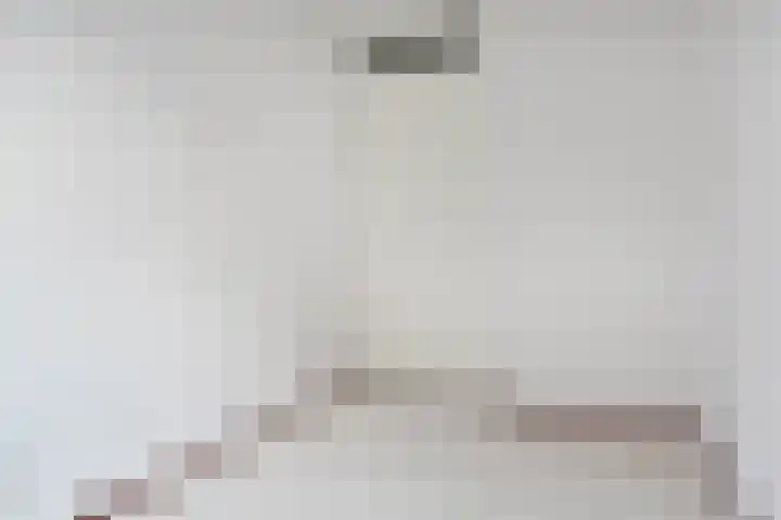 Florence Nightingalelaan 18 Zoetermeer thumbnail 33