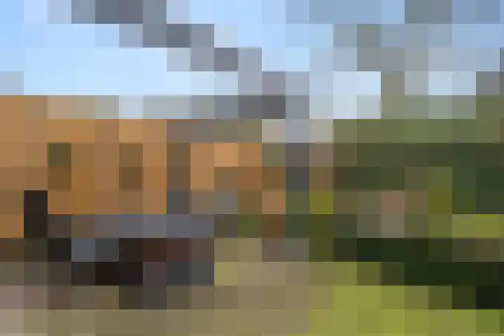 Florence Nightingalelaan 29 Bennekom thumbnail 12