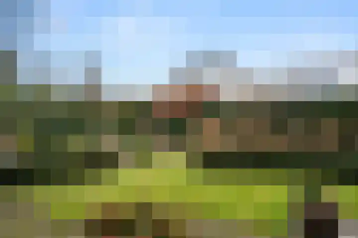 Florence Nightingalelaan 29 Bennekom thumbnail 13