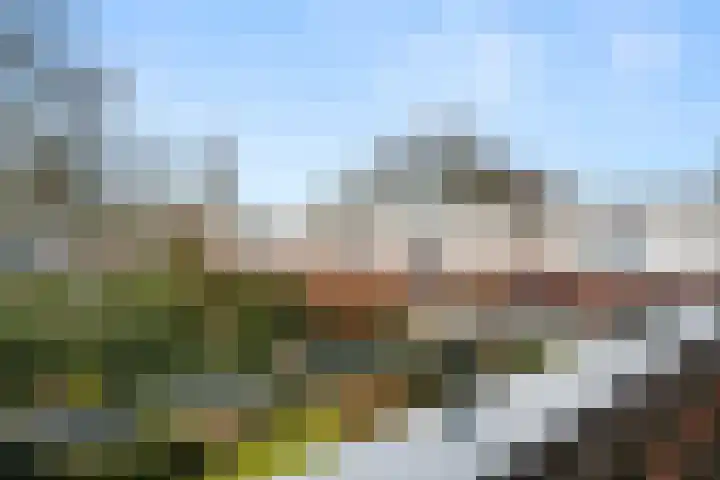 Florence Nightingalelaan 29 Bennekom thumbnail 37
