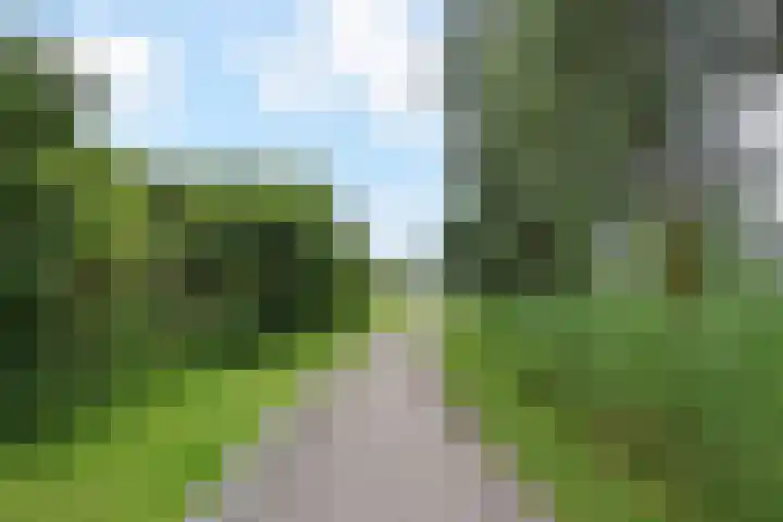 Florence Nightingalelaan 30 Zoetermeer thumbnail 31