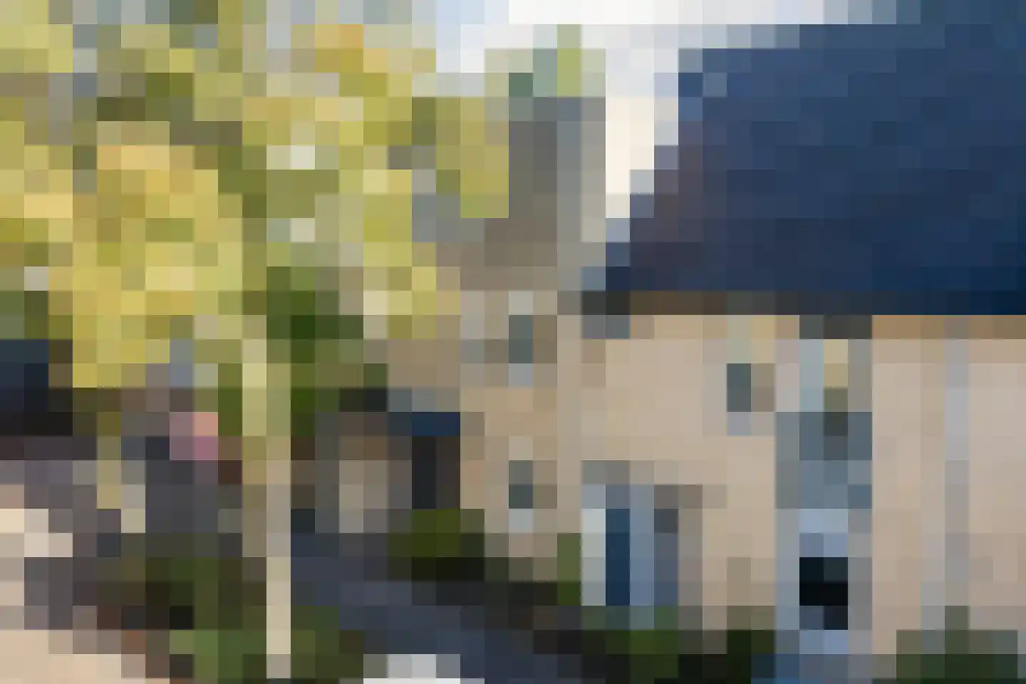 Florence Nightingalelaan 33 Utrecht thumbnail 52