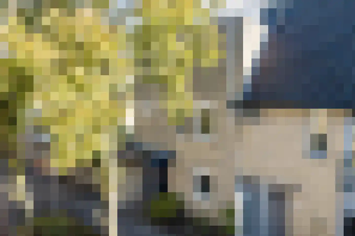 Florence Nightingalelaan 33 Utrecht thumbnail 53