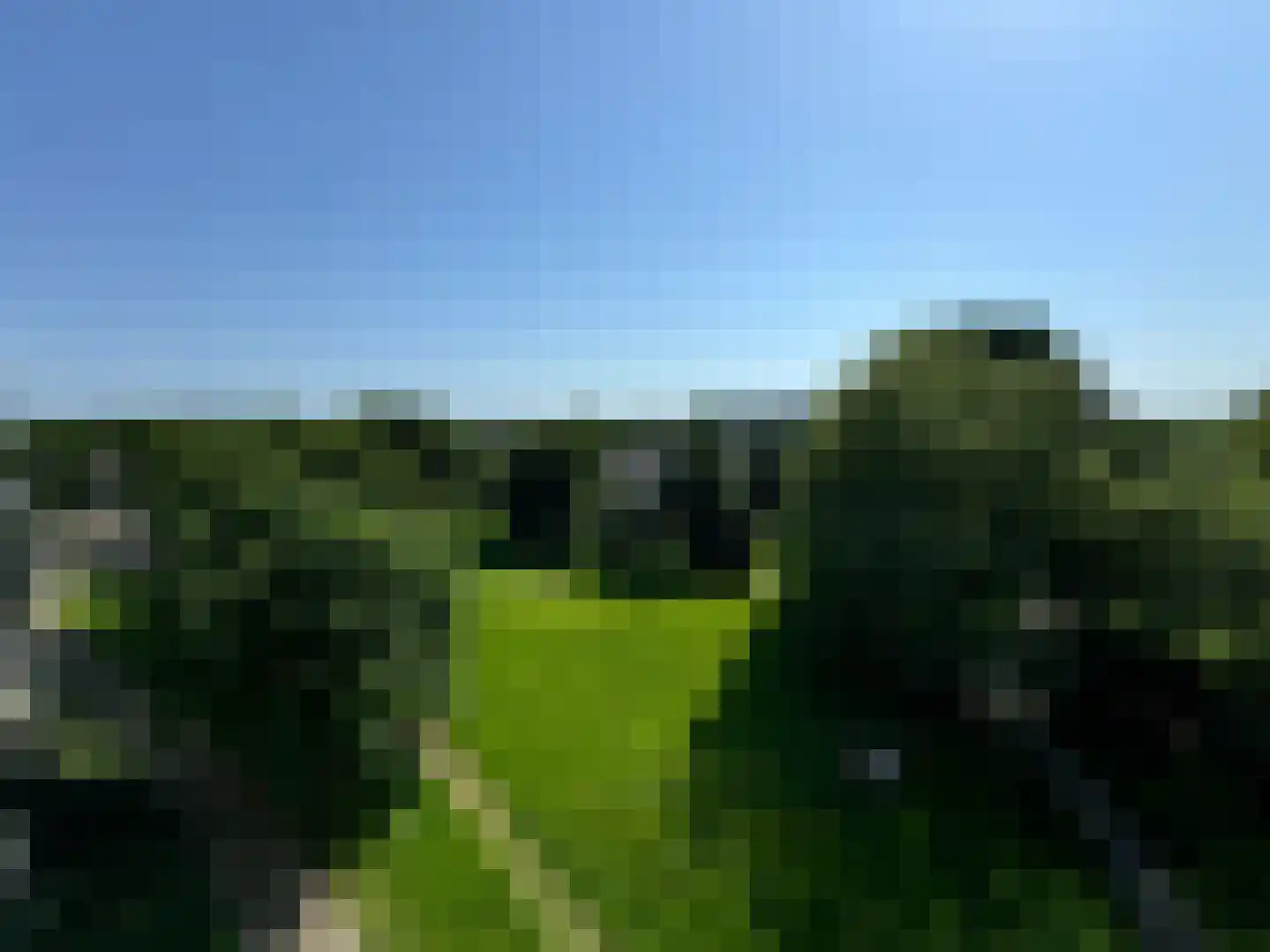 Florence Nightingalestraat 151 Brunssum thumbnail 18
