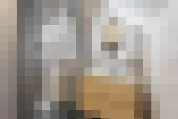 Florence Nightingalestraat 21 Hoofddorp thumbnail 4