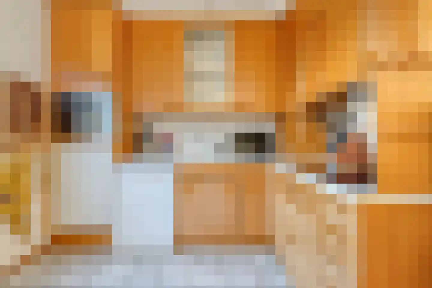 Florence Nightingalestraat 8 Hoofddorp thumbnail 10