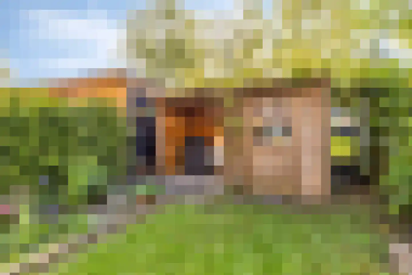 Florence Nightingalestraat 8 Hoofddorp thumbnail 22