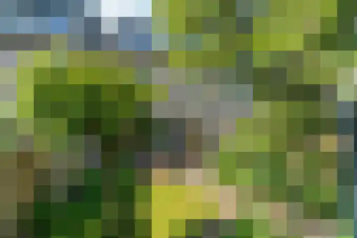 Florence Nightingalestraat 9 Nijmegen thumbnail 23