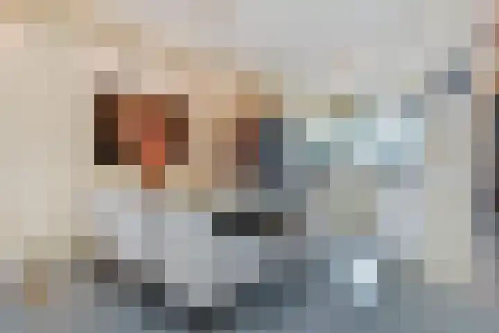 Florence Nightingaleweg 48 Den Haag thumbnail 17