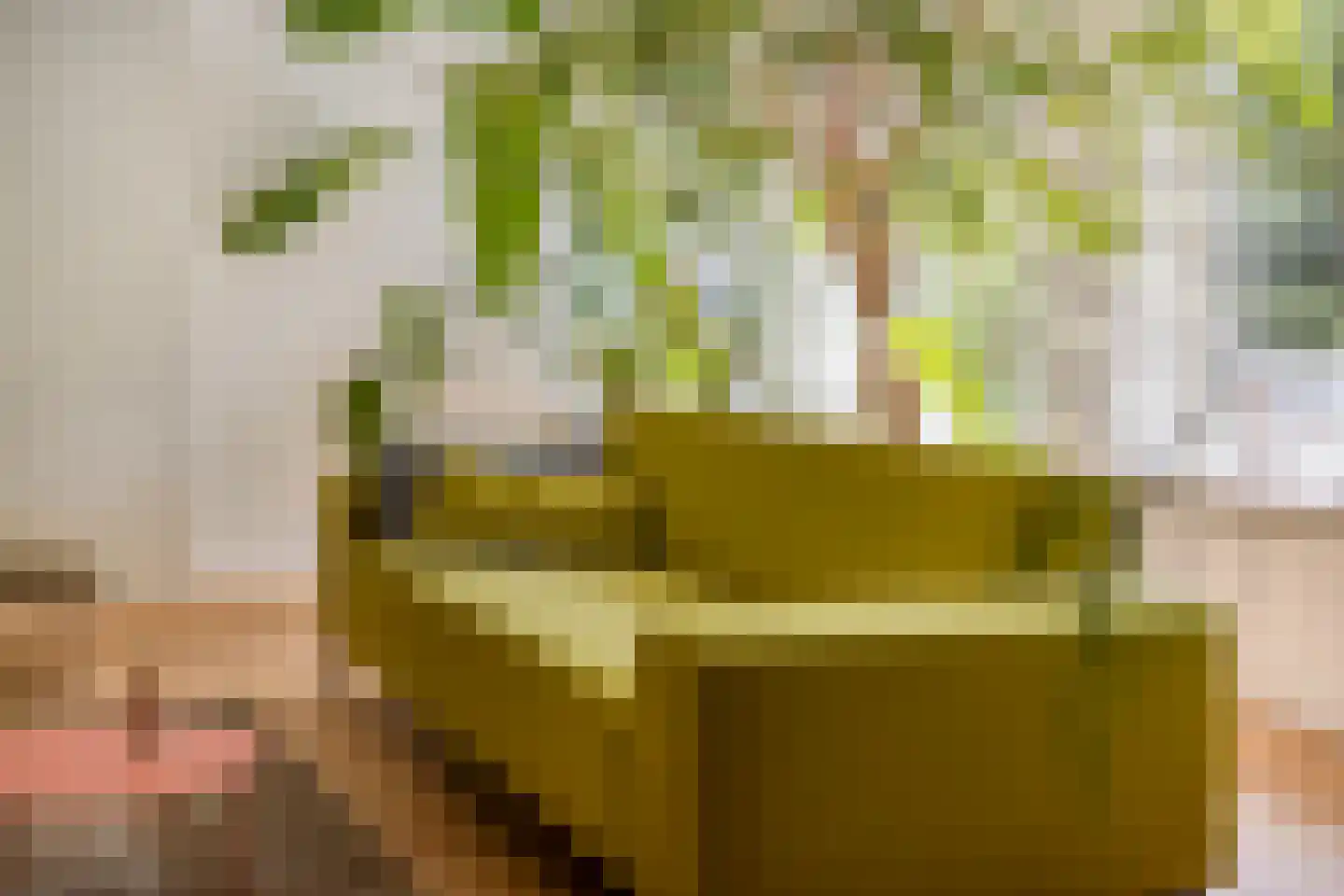 Florencelaan 45 Eindhoven thumbnail 16