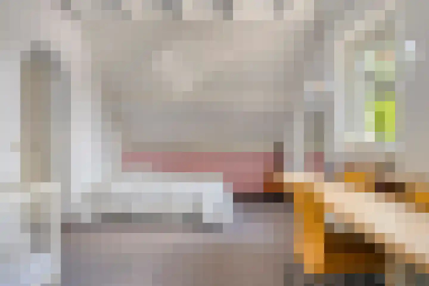 Florencelaan 45 Eindhoven thumbnail 33