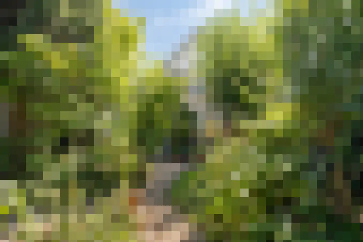 Florencelaan 45 Eindhoven thumbnail 36