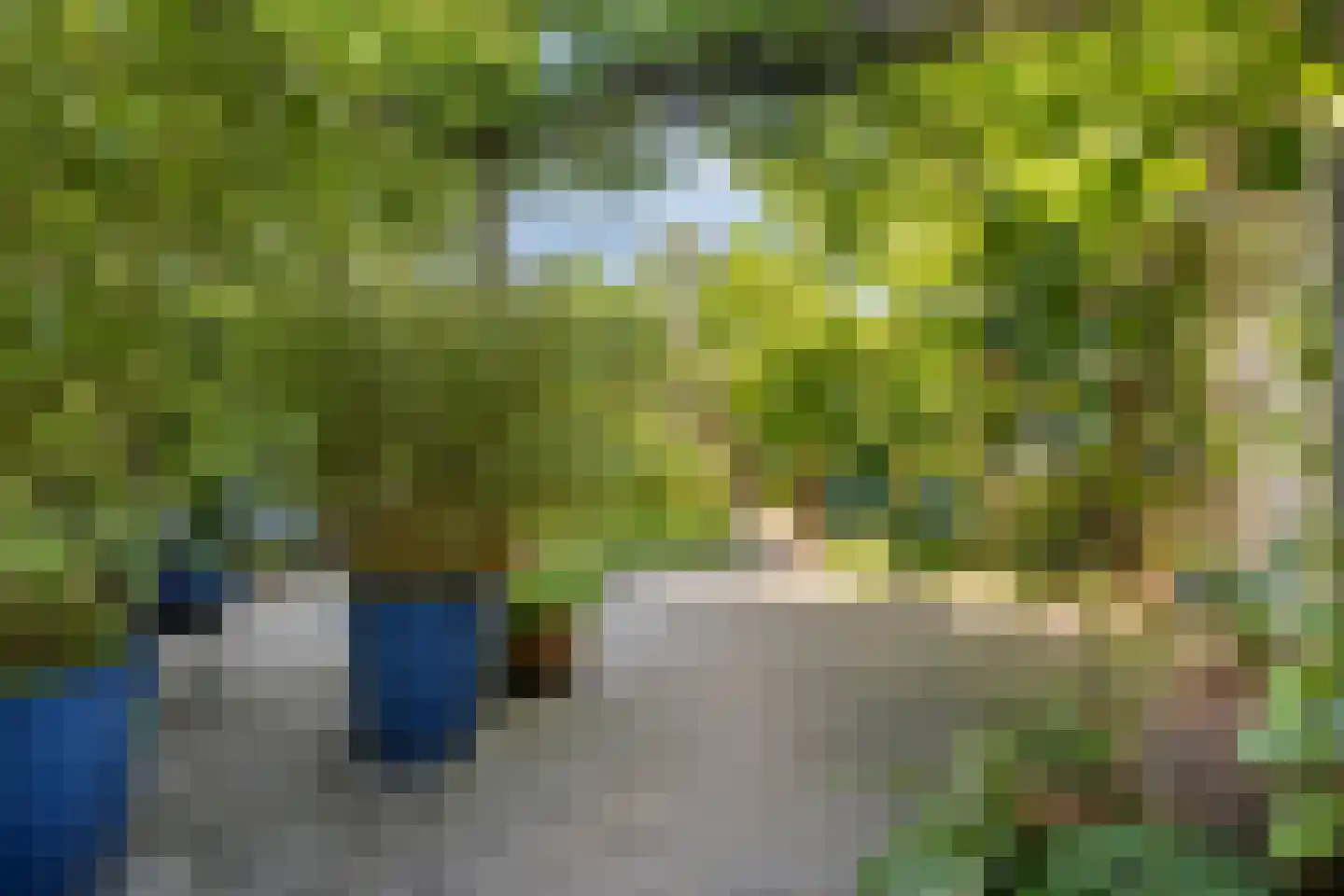 Florencelaan 45 Eindhoven thumbnail 37