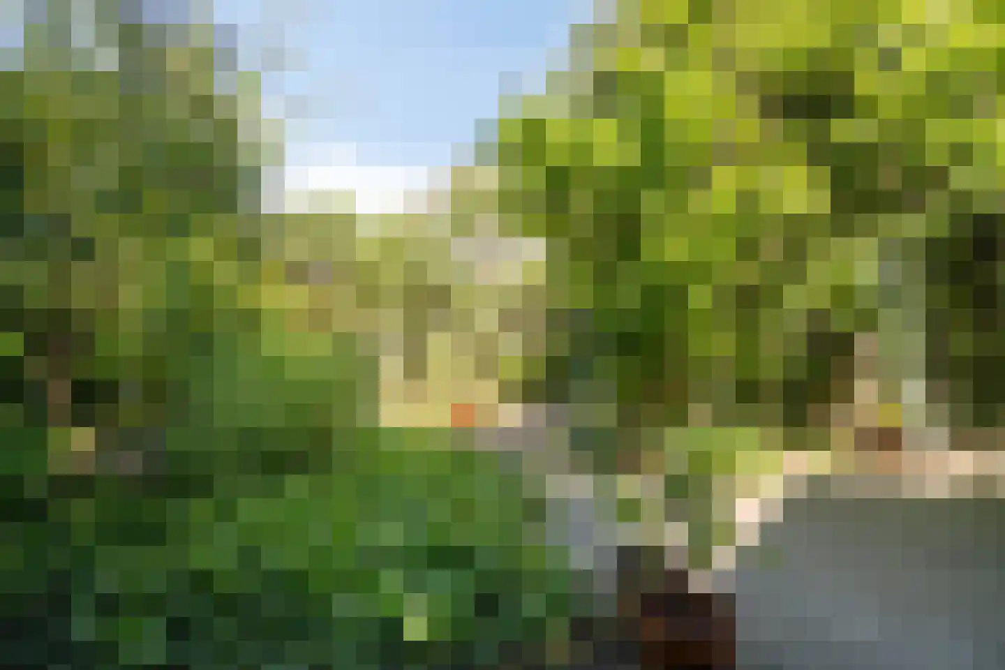 Florencelaan 45 Eindhoven thumbnail 38