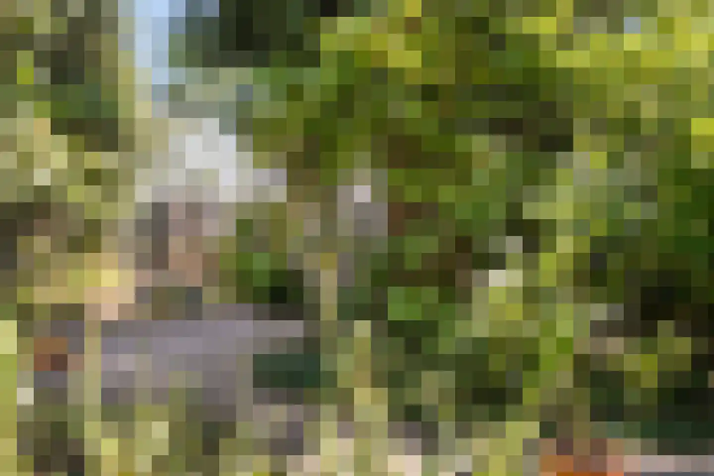 Florencelaan 45 Eindhoven thumbnail 40