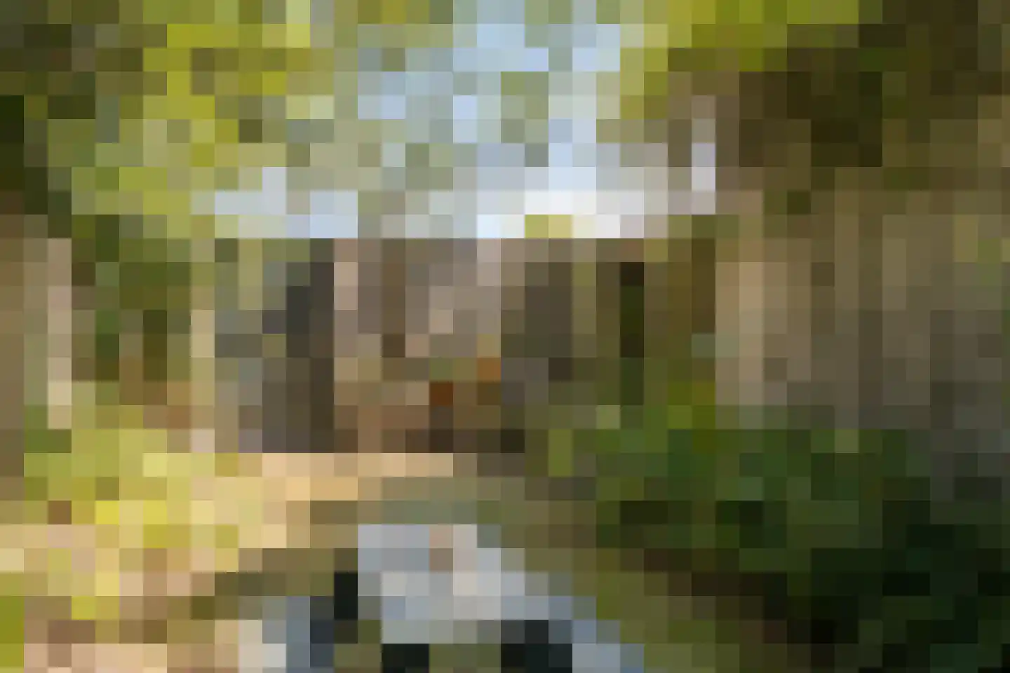 Florencelaan 45 Eindhoven thumbnail 41