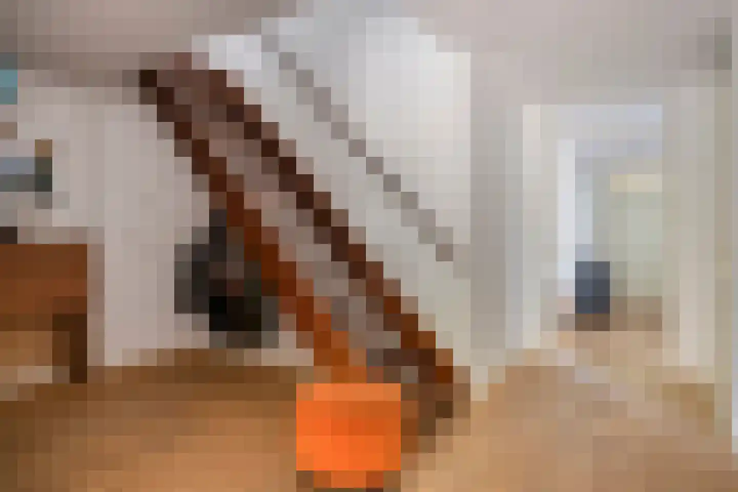 Florencelaan 45 Eindhoven thumbnail 7