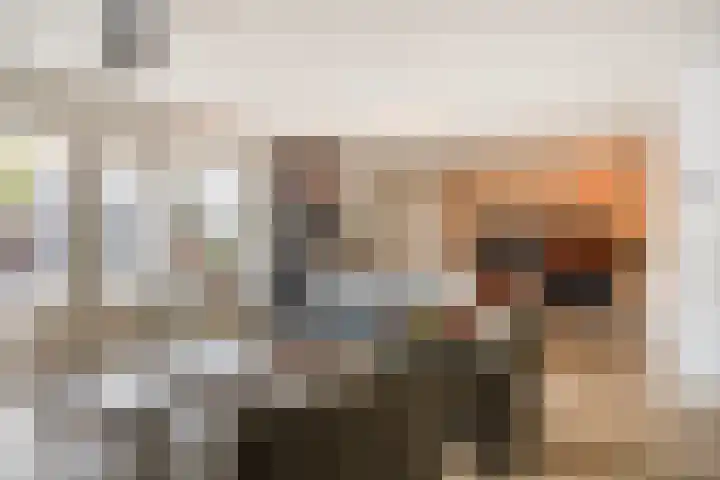 Florencelaan 51 Eindhoven thumbnail 11