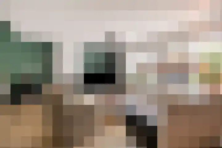 Florencelaan 51 Eindhoven thumbnail 12