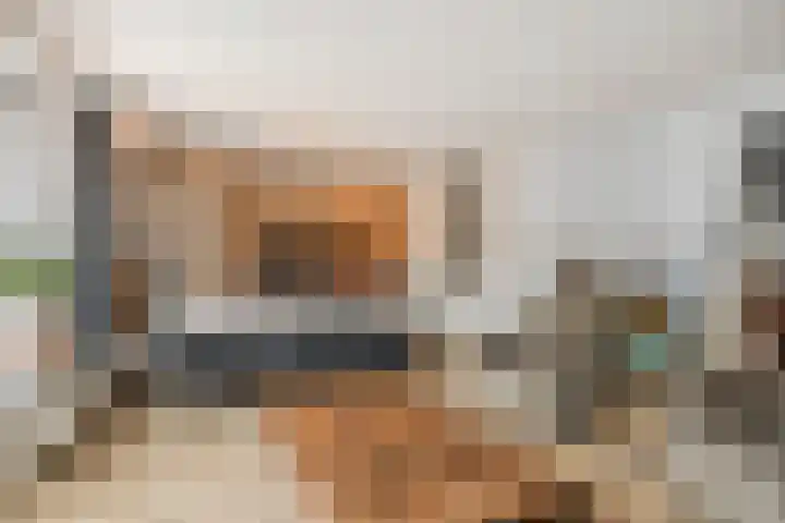 Florencelaan 51 Eindhoven thumbnail 13