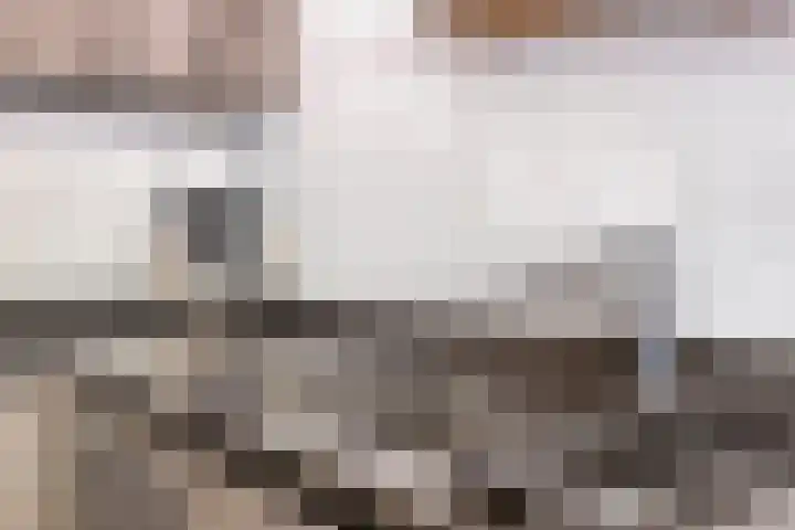 Florencelaan 51 Eindhoven thumbnail 18