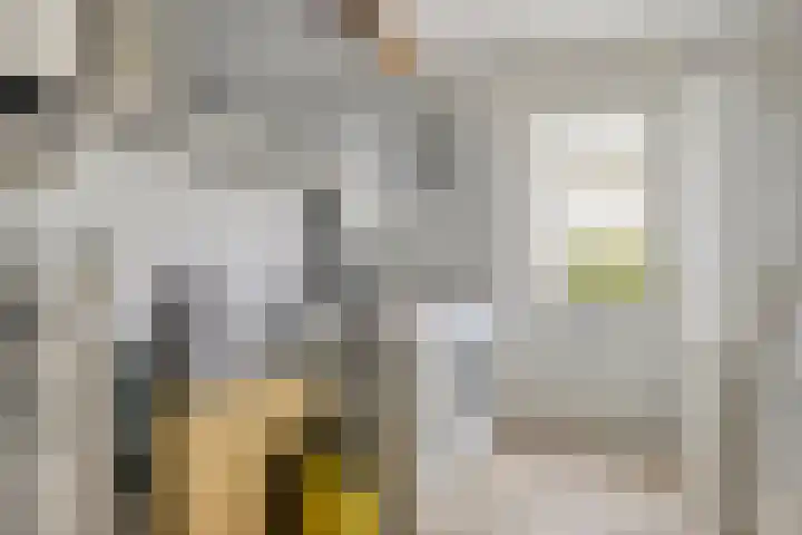 Florencelaan 51 Eindhoven thumbnail 23