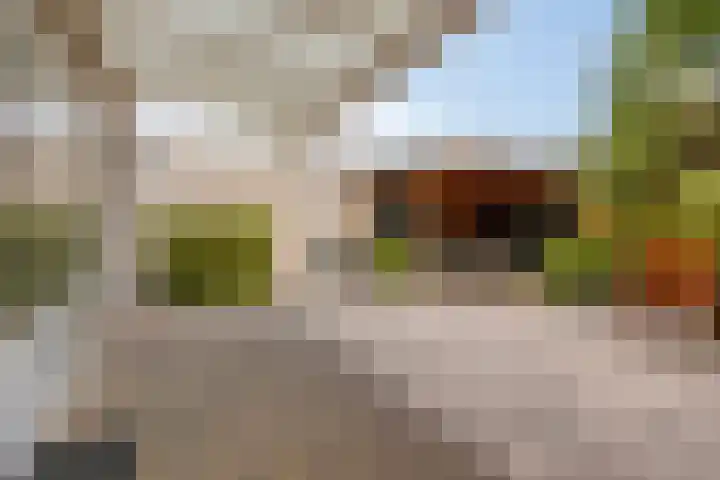 Florencelaan 51 Eindhoven thumbnail 31