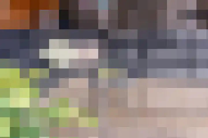 Florencelaan 51 Eindhoven thumbnail 35