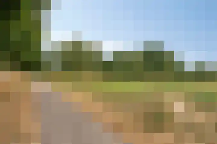 Florencelaan 51 Eindhoven thumbnail 37